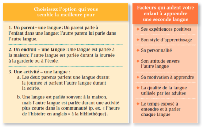 Option d'apprentissage des langues